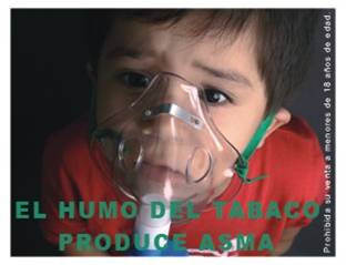 Peru 2008 ETS Child - lived experience, causes asthma
